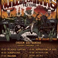 Festival Nordeste em Chamas