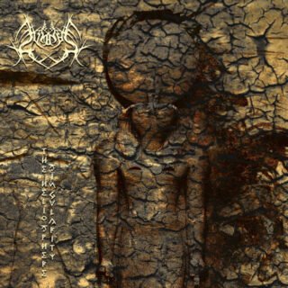 The Heliosphere Singularity